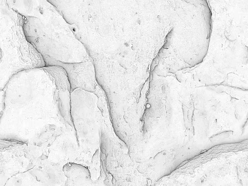 Black and White Bump texture (ID:ffaaf8103)
