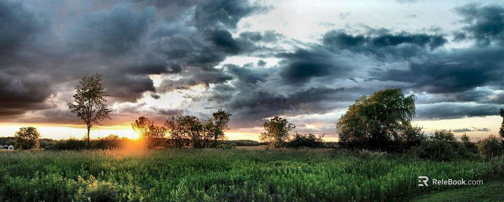 Wild Scenery texture
