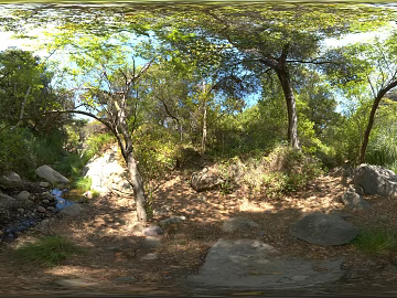 outdoor woods creek landscape hdr texture (ID:ffabg65341)