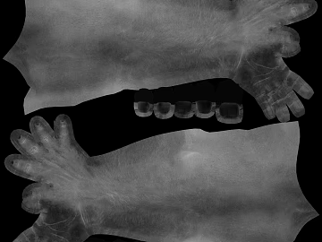Gray X-ray Hand and Foot Map texture (ID:ffaeh182979)