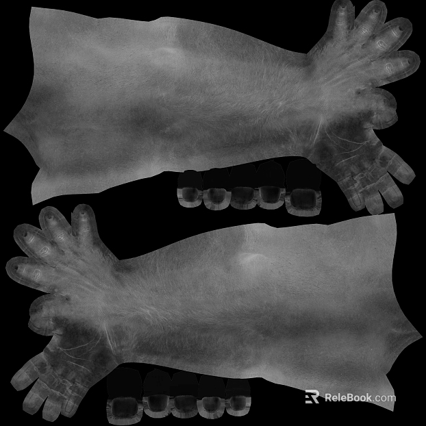 Gray X-ray Hand and Foot Map texture