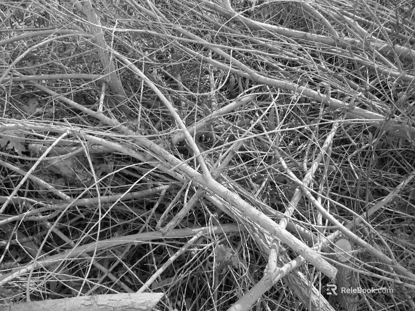 black and white painting texture
