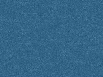 fine grain leather texture (ID:ffacg76837)