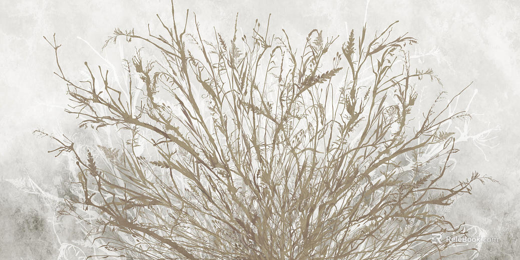 gray plant wallpaper texture