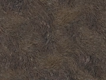 hay texture (ID:ffaag38368)