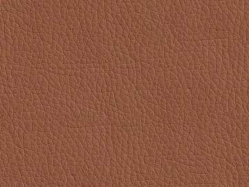 Coarse-grain leather texture (ID:ffaff5249)