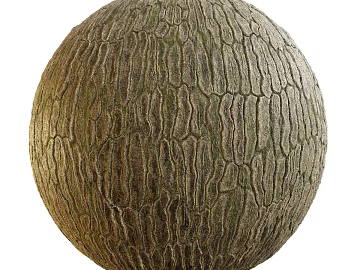 East Asian Bark PBR texture (ID:ffach115124)