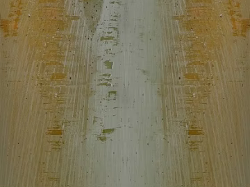 Yellow brown straight grain wood veneer 3d model