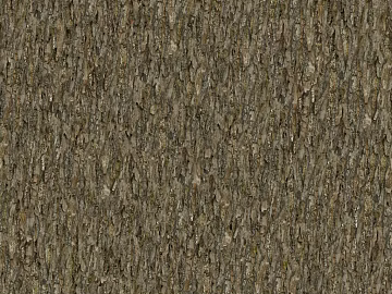 bark texture (ID:ffagg72906)