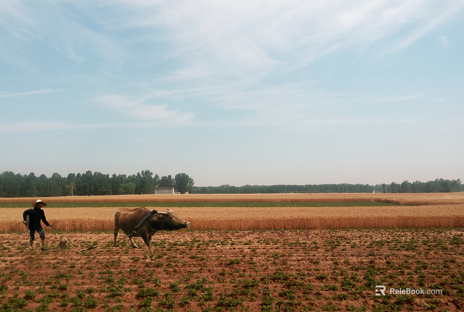 Pastoral scenery texture