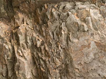 mountain rock wall texture (ID:ffagg44754)