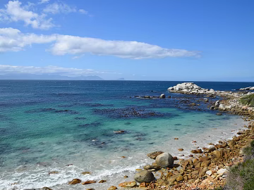 Sea texture (ID:ffach769475)