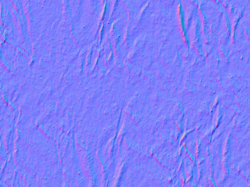 Normal Bump texture (ID:ffabg21120)