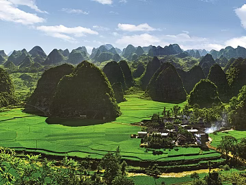 Pastoral scenery texture (ID:ffajg39437)