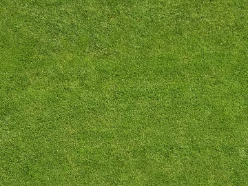 Turf texture (ID:ffagg03311)