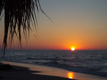 Wild Scenery texture (ID:ffagg22122)