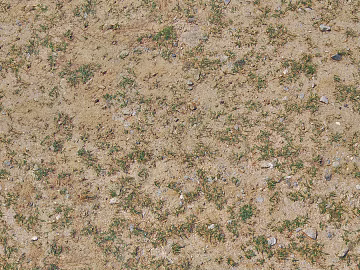 Turf ground texture (ID:ffaaf1319)