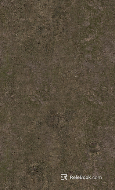 bark texture