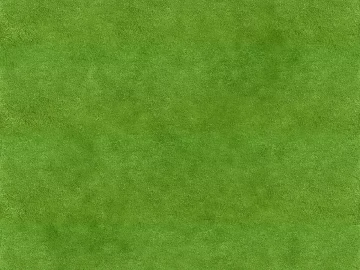 Turf texture (ID:ffaff5175)