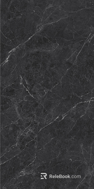 Lightning Silver Black Rock Slab texture