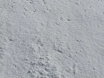 Snowy ground 3d model