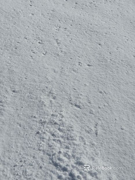 Snowy ground texture