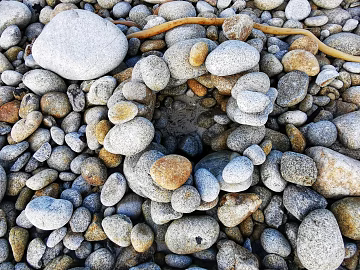 Pebbles texture (ID:ffaeg59877)