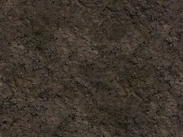 Mud texture (ID:ffach516516)