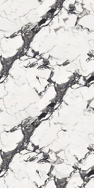 fish maw black marble texture