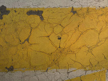 Cement floor texture (ID:ffagg33936)