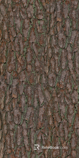 bark texture