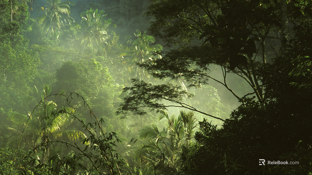Wild Scenery texture