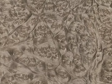 Plywood texture (ID:ffacg85725)