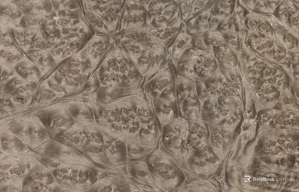 Plywood texture