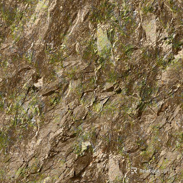 Gray brown moss rock outdoor wall texture
