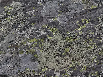 Rock texture (ID:ffacf2105)