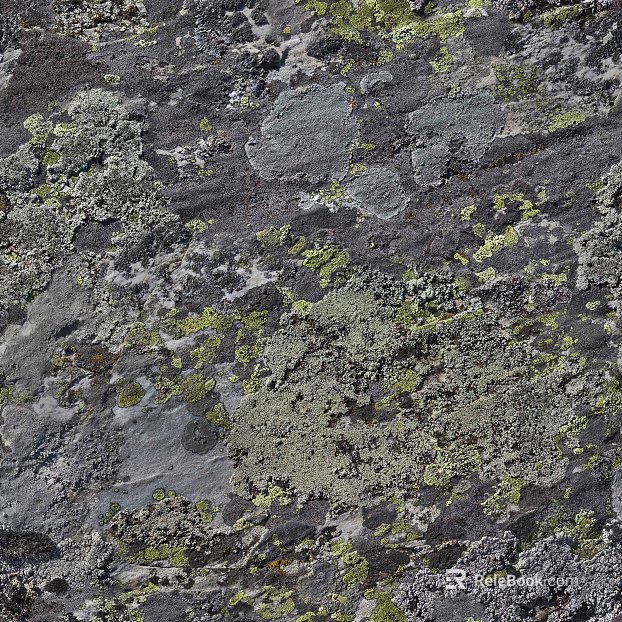 Rock texture