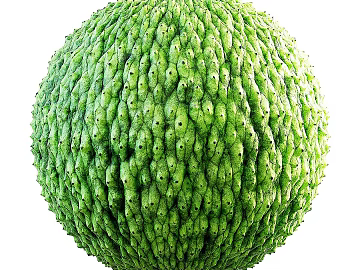 Biological PBR texture (ID:ffach576994)