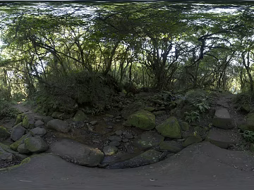 Outdoor Forest Daytime HDR texture (ID:ffabg73251)