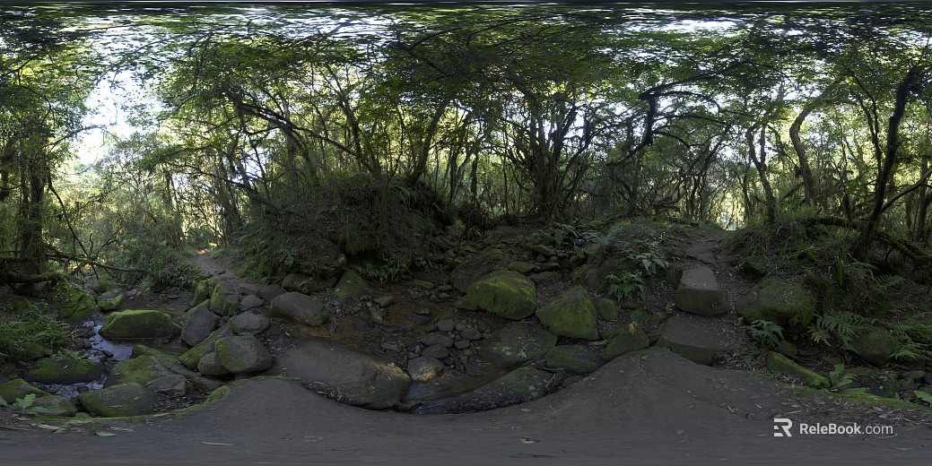 Outdoor Forest Daytime HDR texture