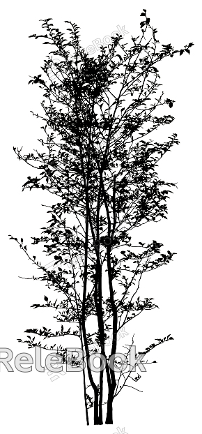 black and white tree shadow texture