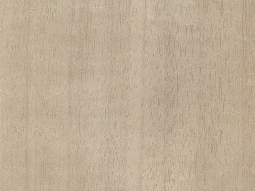 Wood grain texture (ID:ffabg89665)