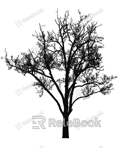 black and white tree shadow texture