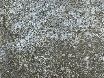 Rock texture (ID:ffaeg14991)