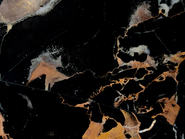 Black Golden Flower Marble texture (ID:ffach899974)