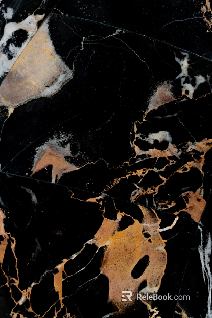 Black Golden Flower Marble texture