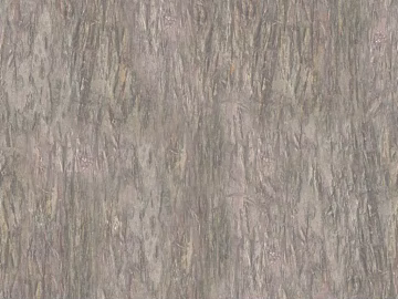 bark texture (ID:ffacg81906)