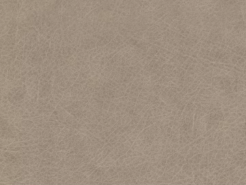 Coarse-grain leather texture (ID:ffacf3675)
