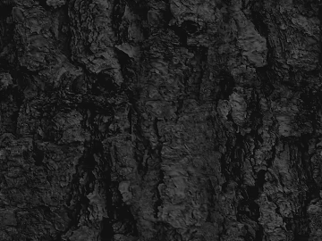 bark texture (ID:ffacg67875)