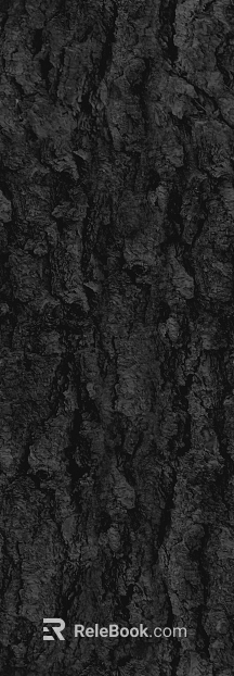 bark texture